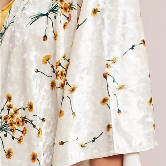 Anthropologie Velvet Floral Kimono - Picture 4 of 8
